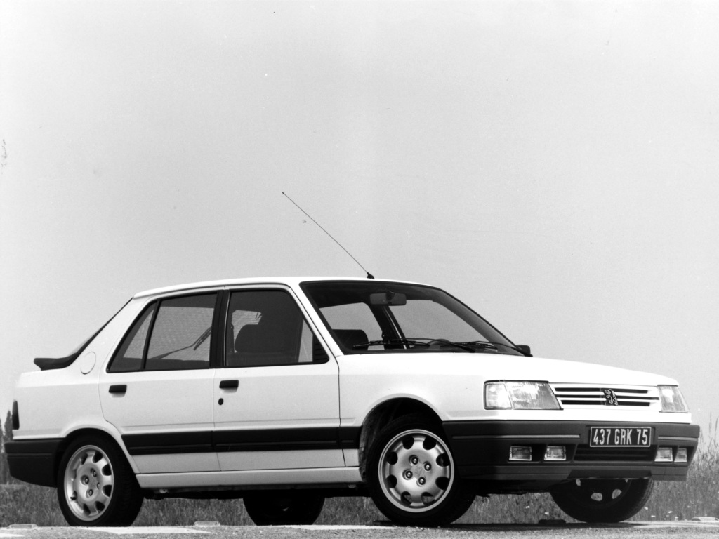 CACHE PROTECTION BLANC LONGUE PORTÉE PEUGEOT 309 GTI GTI 16 KIT DE 2 - Une  de Sauvée